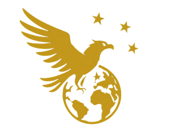 DCMUN Logo